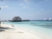 maldives 20.jpg